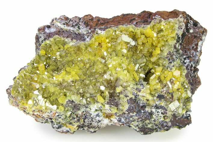 Lustrous Yellow Pyromorphite Crystal Cluster - DR Congo #322638